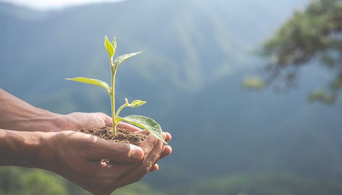 Recoveo responsabilité environnementale